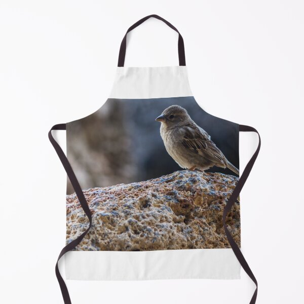 Item preview, Sparrow Perched on Rocky Ledge Overlooking Blurred Natural Background, Small Brown Songbird Close-Up designed and sold by Nmallia.