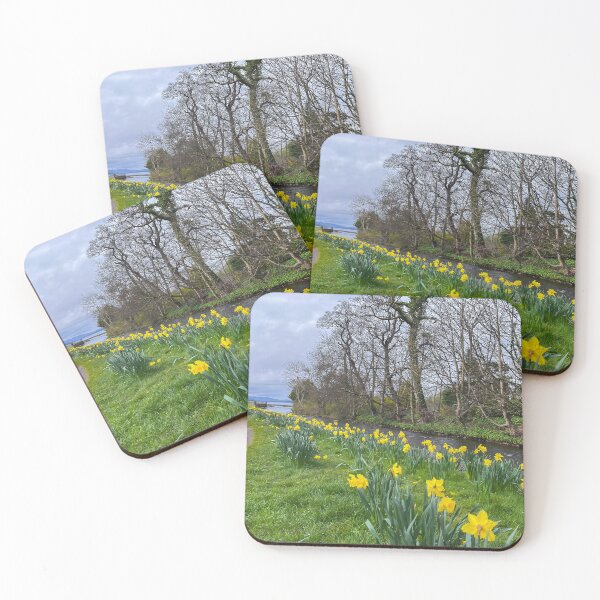 Item preview, Aubery Park Largs Daffodils Landscape designed and sold by RJW Images.