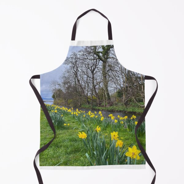 Item preview, Aubery Park Largs Daffodils Landscape designed and sold by RJW Images.