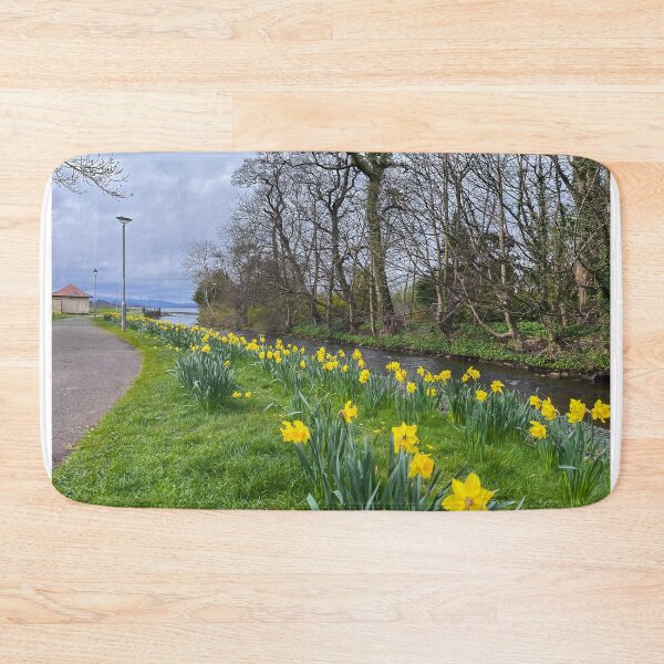 Item preview, Aubery Park Largs Daffodils Landscape designed and sold by RJW Images.