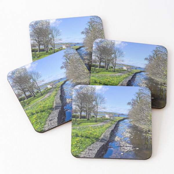 Item preview, Largs Aubery Park Daffodils designed and sold by RJW Images.