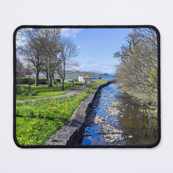 Item preview, Largs Aubery Park Daffodils designed and sold by RJW Images.