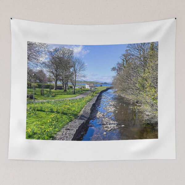 Item preview, Largs Aubery Park Daffodils designed and sold by RJW Images.