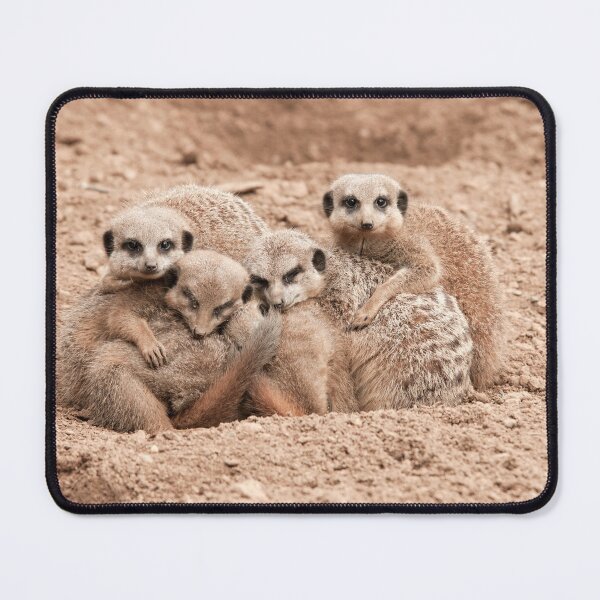 Item preview, Meerkats in a huddle  designed and sold by NatashaBalletta.
