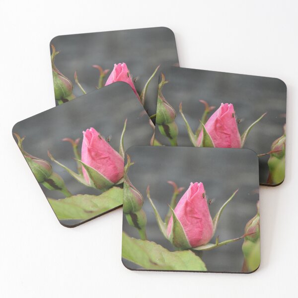 Item preview, Pink Rose Bud | Romantic Garden Flower Photography designed and sold by Cha-s-lens.
