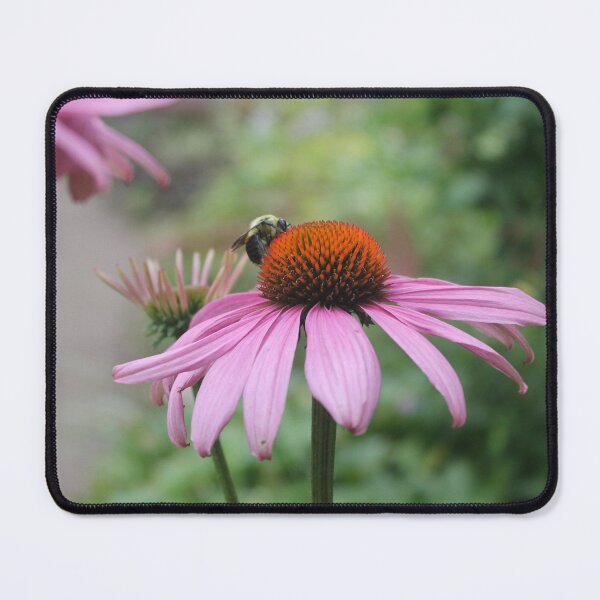 Item preview, Bee on Flower designed and sold by xxmultifxndomx.