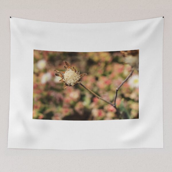 Item preview, Close-Up Macro Of Dried Seed Head With Fuzzy Fibers On Stem Against Blurred Floral Background designed and sold by Nmallia.