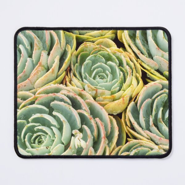 Item preview, Succulent Spirals designed and sold by dooleyja.