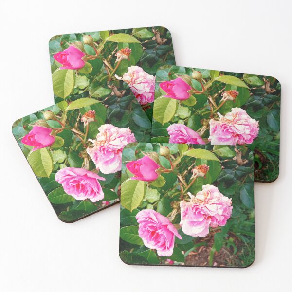 Item preview, Pink Peonies designed and sold by DianaFrankPhotos.