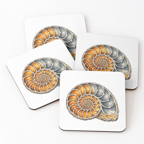 Item preview, Ammonite Fossil Spiral Naturalist Specimen Study designed and sold by eignvalue.