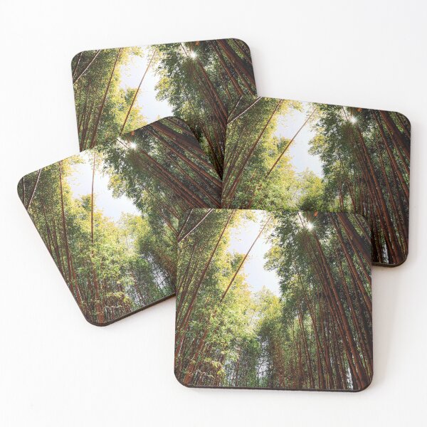 Item preview, "The Canopy" - A Tunnel of Towering Trees  designed and sold by Jenn Krauss.