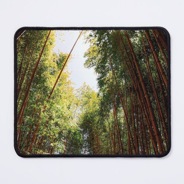 Item preview, "The Canopy" - A Tunnel of Towering Trees designed and sold by Jenn Krauss.