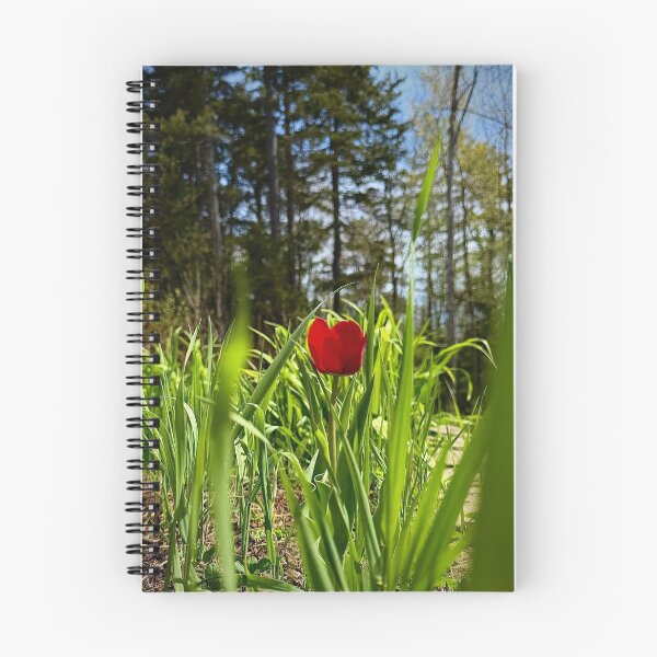 Item preview, Standalone Flower designed and sold by Seen by Serenity Photography.