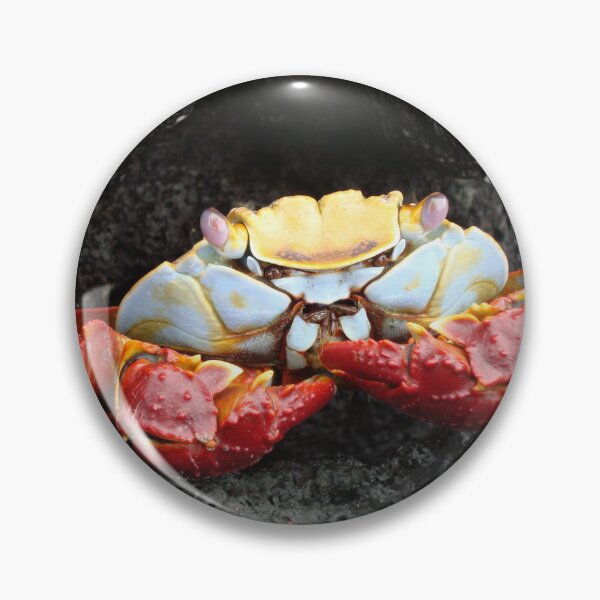 Item preview, Eye of the Crab designed and sold by dooleyja.