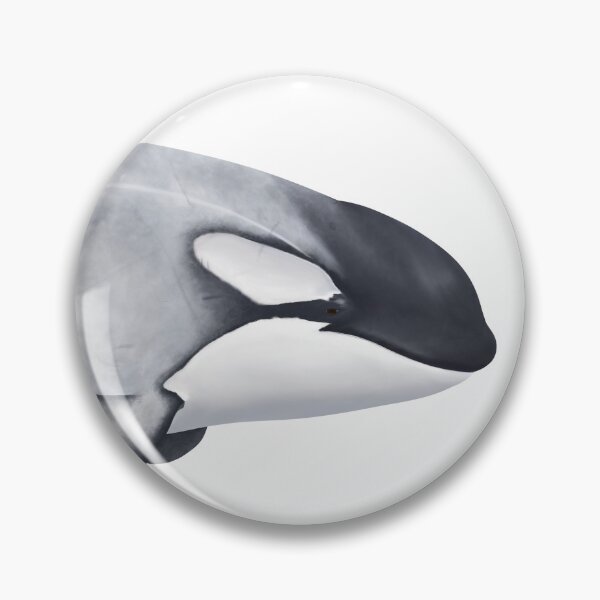 Item preview, Killer Whale CA216C1 Frosty's Right Side designed and sold by Selena Rivera.