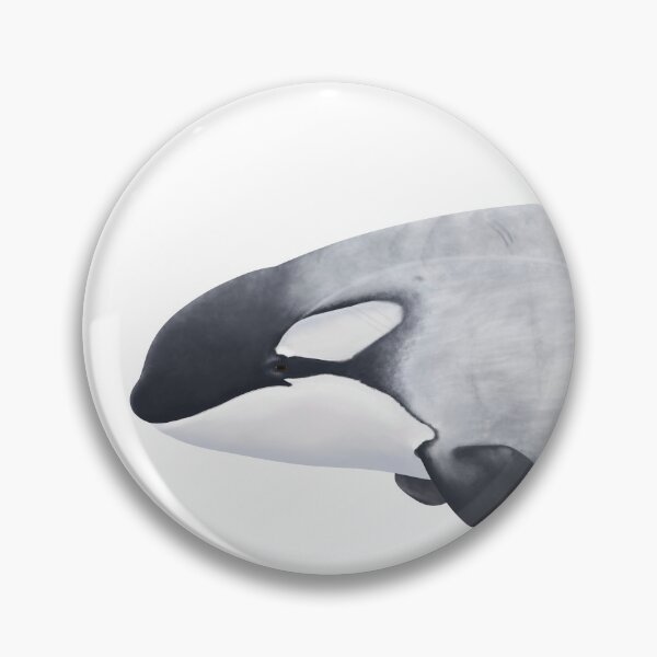 Item preview, Killer Whale CA216C1 Frosty's Left Side designed and sold by Selena Rivera.