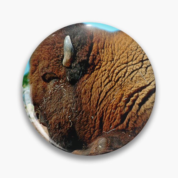 Item preview, American Bison, Buffalo, Largest American Animal designed and sold by AMacGPhilly.