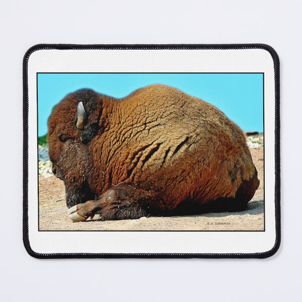 Item preview, American Bison, Buffalo, Largest American Animal designed and sold by AMacGPhilly.