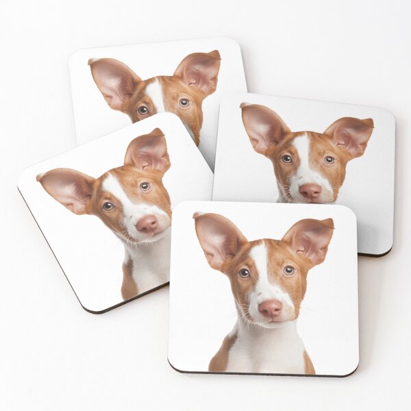 Item preview, Adorable Ibizan Hound puppy for Cute Beezer puppy lovers designed and sold by LazyOwlStore.