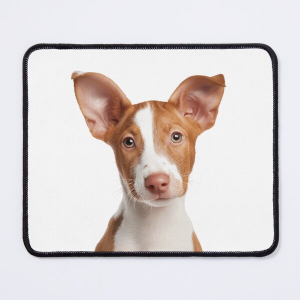 Item preview, Adorable Ibizan Hound puppy for Cute Beezer puppy lovers designed and sold by LazyOwlStore.