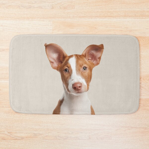 Item preview, Adorable Ibizan Hound puppy for Cute Beezer puppy lovers designed and sold by LazyOwlStore.