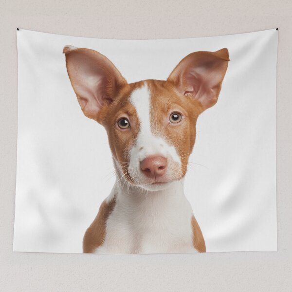 Item preview, Adorable Ibizan Hound puppy for Cute Beezer puppy lovers designed and sold by LazyOwlStore.