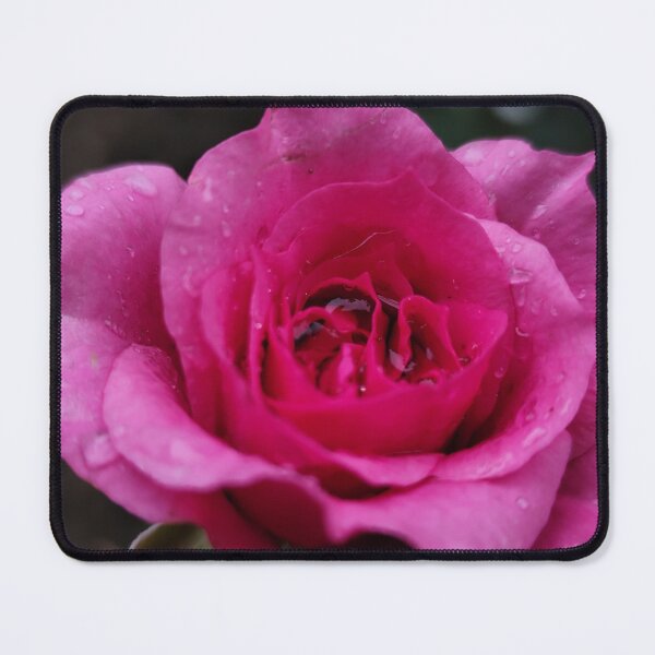 Item preview, Majestic Pink Red Rose Rosa Catching Rain designed and sold by vtspatial.