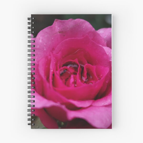Item preview, Majestic Pink Red Rose Rosa Catching Rain designed and sold by vtspatial.