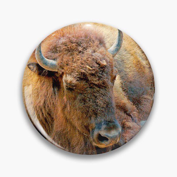 Item preview, American Bison, Male, Largest Wild American Animal designed and sold by AMacGPhilly.
