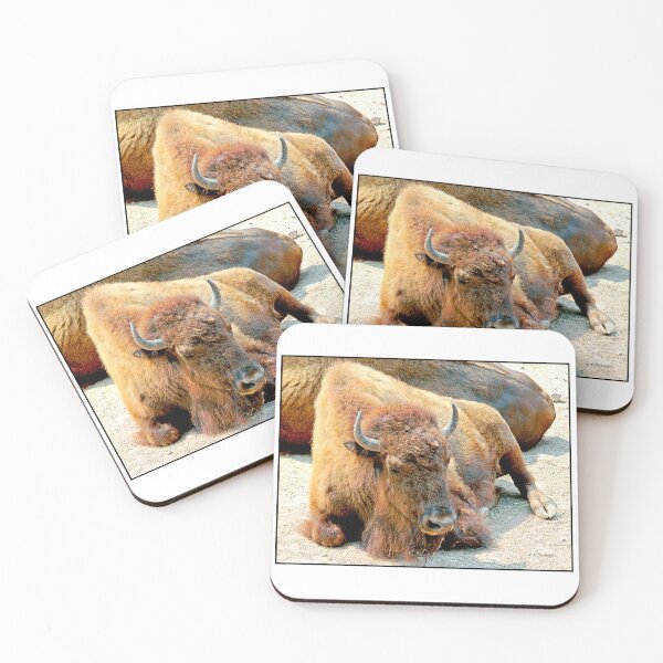 Item preview, American Bison, Male, Largest Wild American Animal designed and sold by AMacGPhilly.