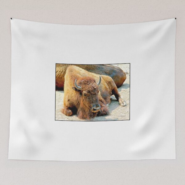 Item preview, American Bison, Male, Largest Wild American Animal designed and sold by AMacGPhilly.