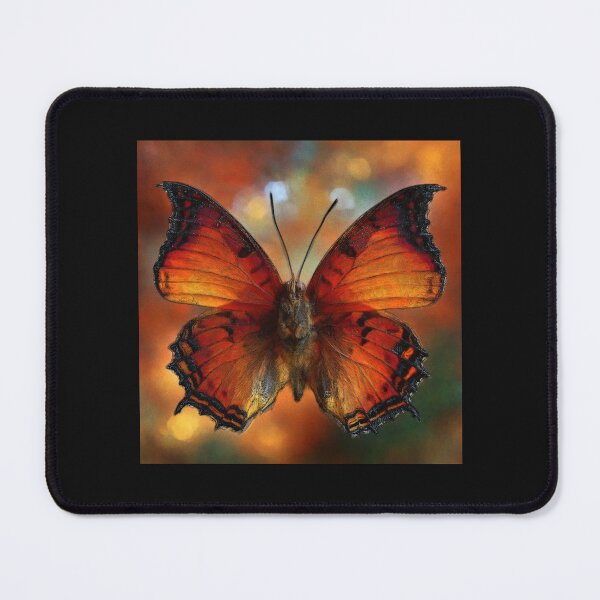 Item preview, Aurora Flame Butterfly: Graceful botanical almost realistic #1 designed and sold by Helios Be. Lavsh.