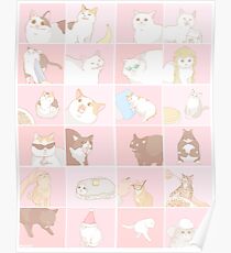 Meme cats Poster