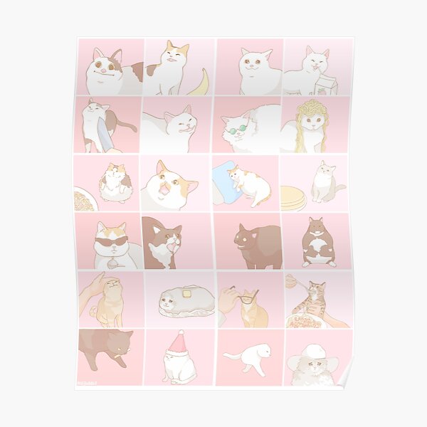 Meme cats Poster