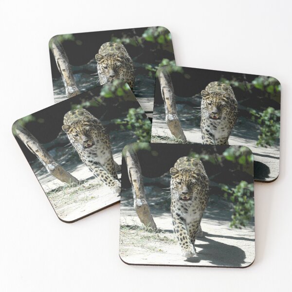 Item preview, African Leopard Walking Straight Toward The Photographer (Me!) designed and sold by DEC02.