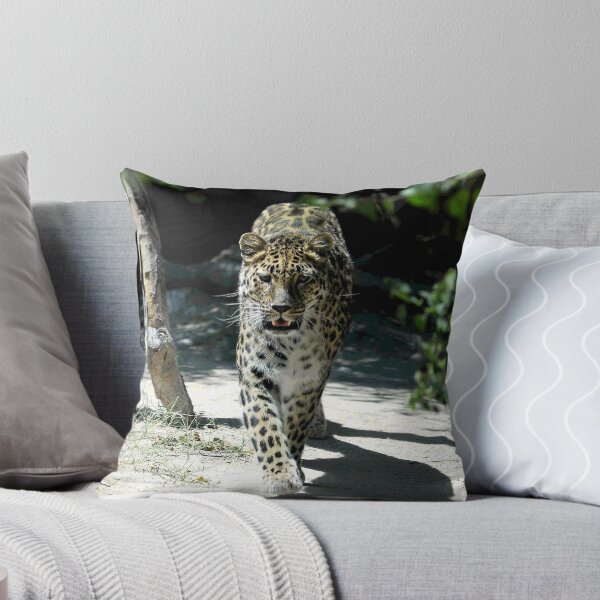 Item preview, African Leopard Walking Straight Toward The Photographer (Me!) designed and sold by DEC02.