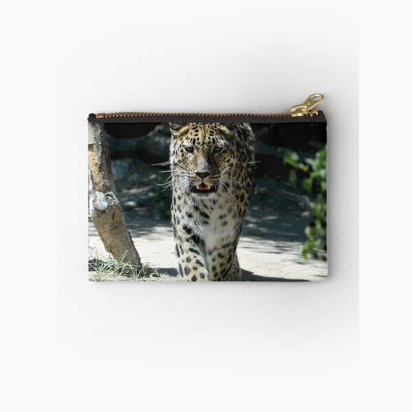 Item preview, African Leopard Walking Straight Toward The Photographer (Me!) designed and sold by DEC02.