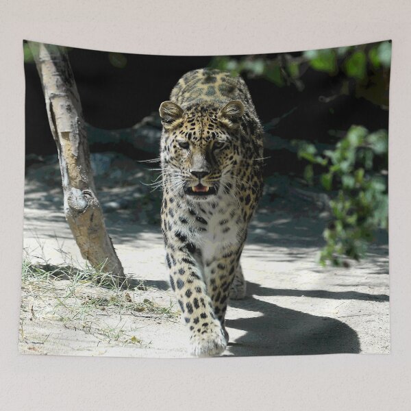 Item preview, African Leopard Walking Straight Toward The Photographer (Me!) designed and sold by DEC02.