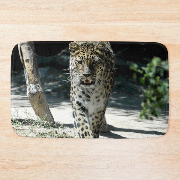 Item preview, African Leopard Walking Straight Toward The Photographer (Me!) designed and sold by DEC02.