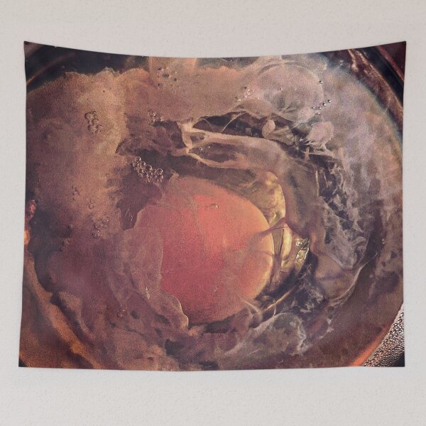 Item preview, albumen designed and sold by Curious Echo Photography.