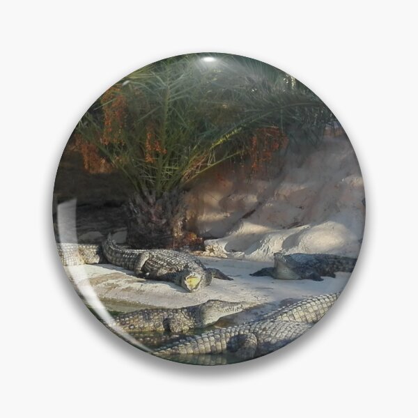 Item preview, Sunbathing among the crocodiles designed and sold by Hanen-nature21.