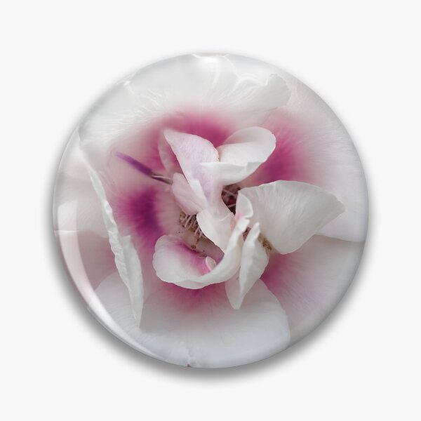 Item preview, Blush Heart Rose – Elegant White & Pink Floral Art designed and sold by Violafleurviolett.