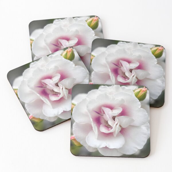 Item preview, Blush Heart Rose – Elegant White & Pink Floral Art designed and sold by Violafleurviolett.