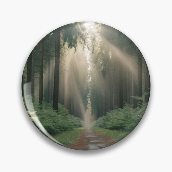 Item preview, Sunlit Forest Path with Tall Trees Photography designed and sold by Gabe1983.