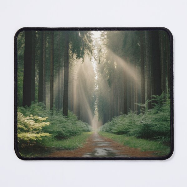 Item preview, Sunlit Forest Path with Tall Trees Photography designed and sold by Gabe1983.