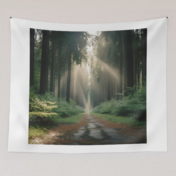 Item preview, Sunlit Forest Path with Tall Trees Photography designed and sold by Gabe1983.