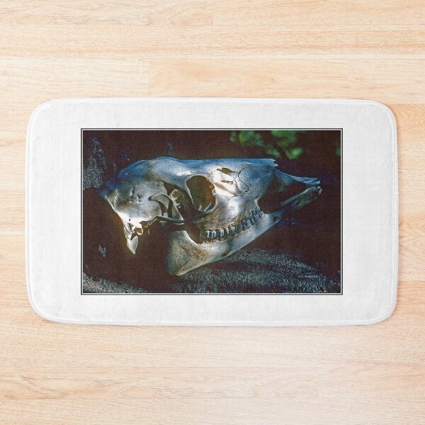 Item preview, Bison Skull, Eye Socket, Molar Teeth, Jawbone designed and sold by AMacGPhilly.