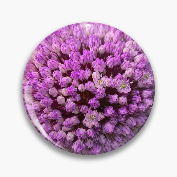 Item preview, Purple Allium Bloom – Botanical Macro Flower Art designed and sold by ViolafleurViolett.