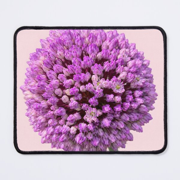 Item preview, Purple Allium Bloom – Botanical Macro Flower Art designed and sold by Violafleurviolett.