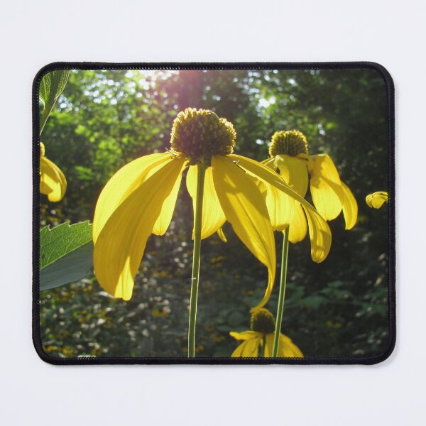 Item preview, Summer Petals In The Sun designed and sold by collageDP.